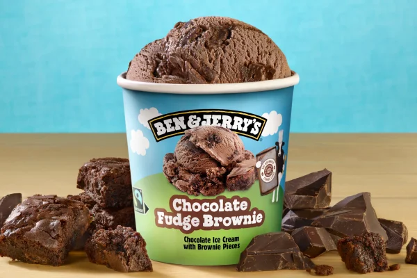 Chocolate Fudge Brownie